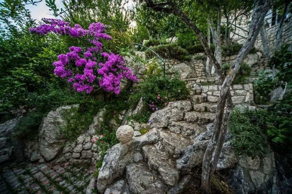 Galic * Ploce (Dubrovnik-Neretva)