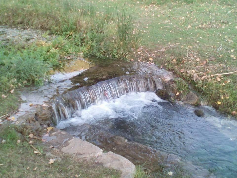 Galic *